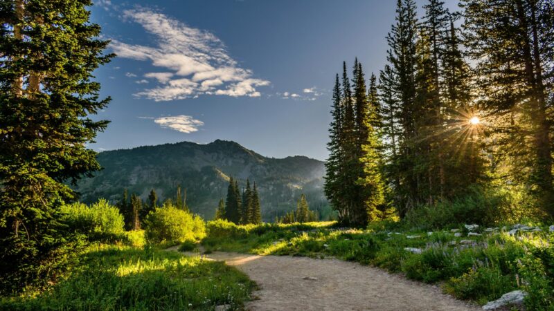 Les meilleures destinations pour les photographes de nature en 2024